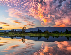 利物浦对阵巴黎,双方难分伯仲