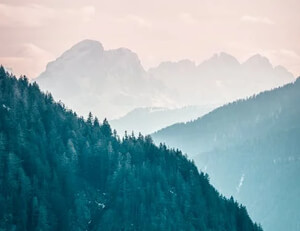 柏林赫塔球员拼尽全力,为球队荣誉而战