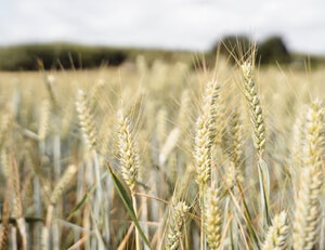 球员风采:采访现场兴奋分享